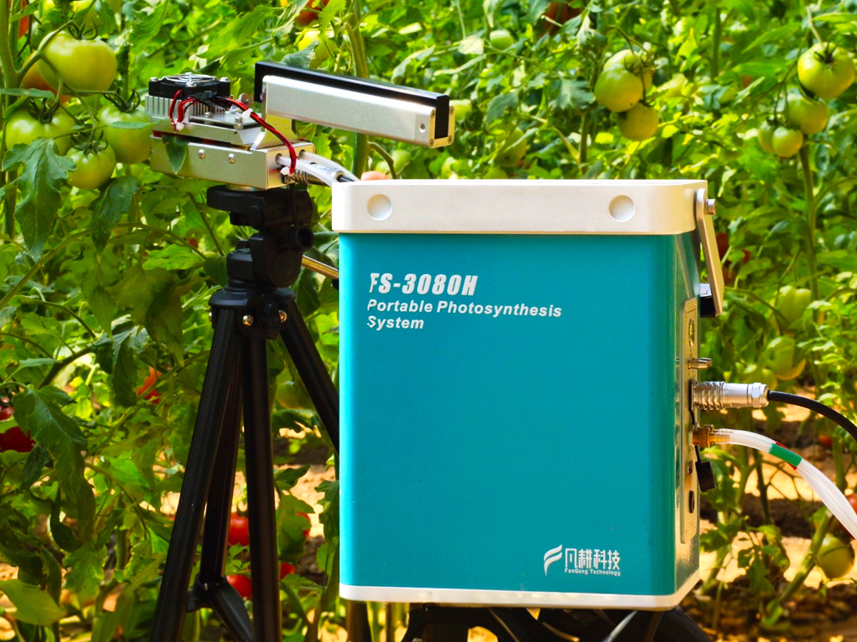 FS-3080H光合作用測(cè)定儀-泛勝科技